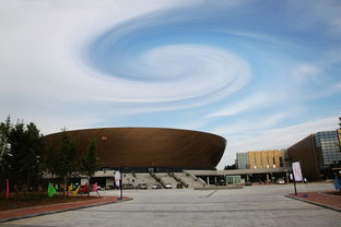 米兰平台-高校体育场馆开放管理政策研究,高校体育场馆现状